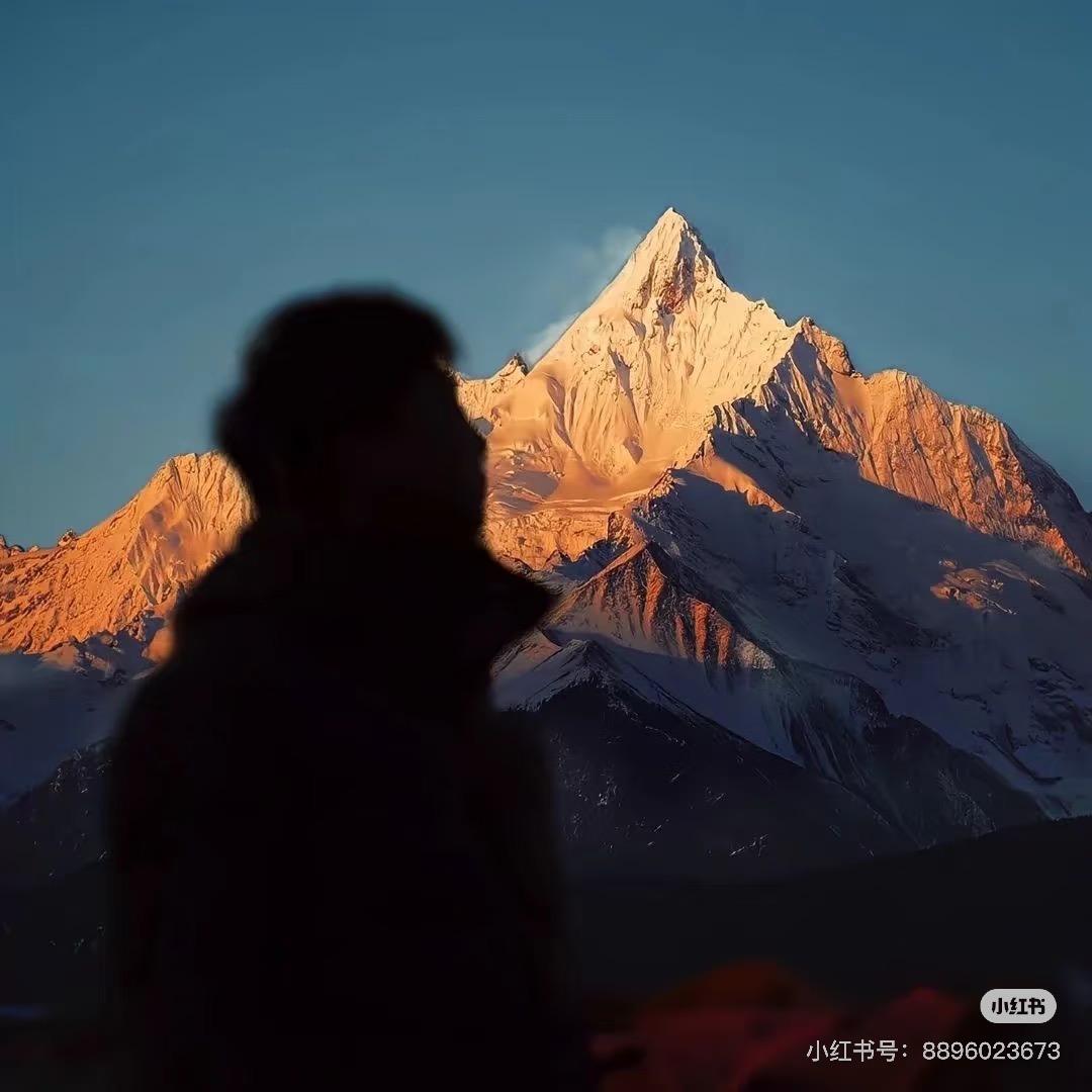 Q🧡D