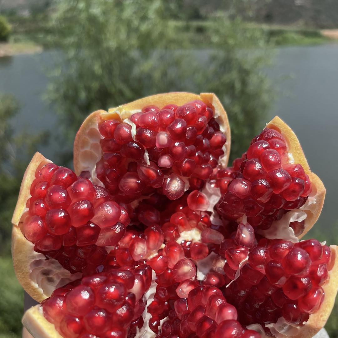 霸诺水果蔬菜旗舰店