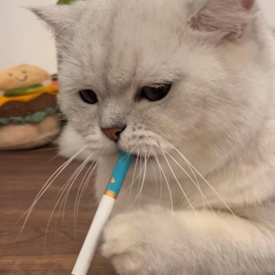yuzi