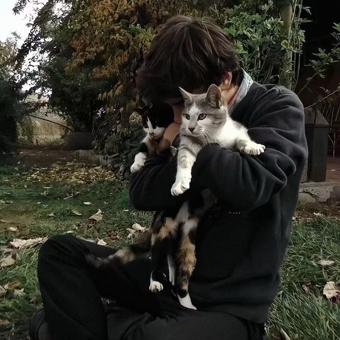 ¥