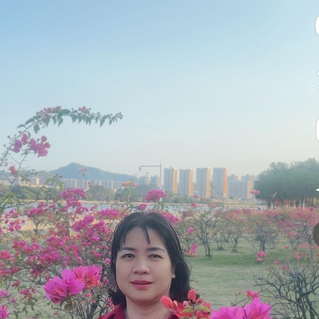 碧绿彩虹（拒私聊）