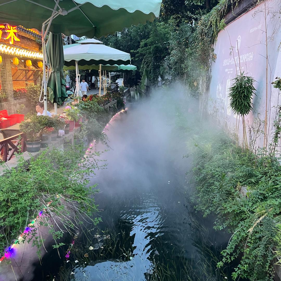 春天花会开7711