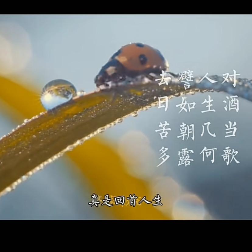 天青色