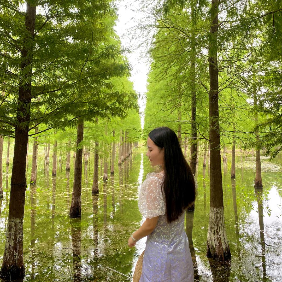 泗洪古筝🎵筝琴画意