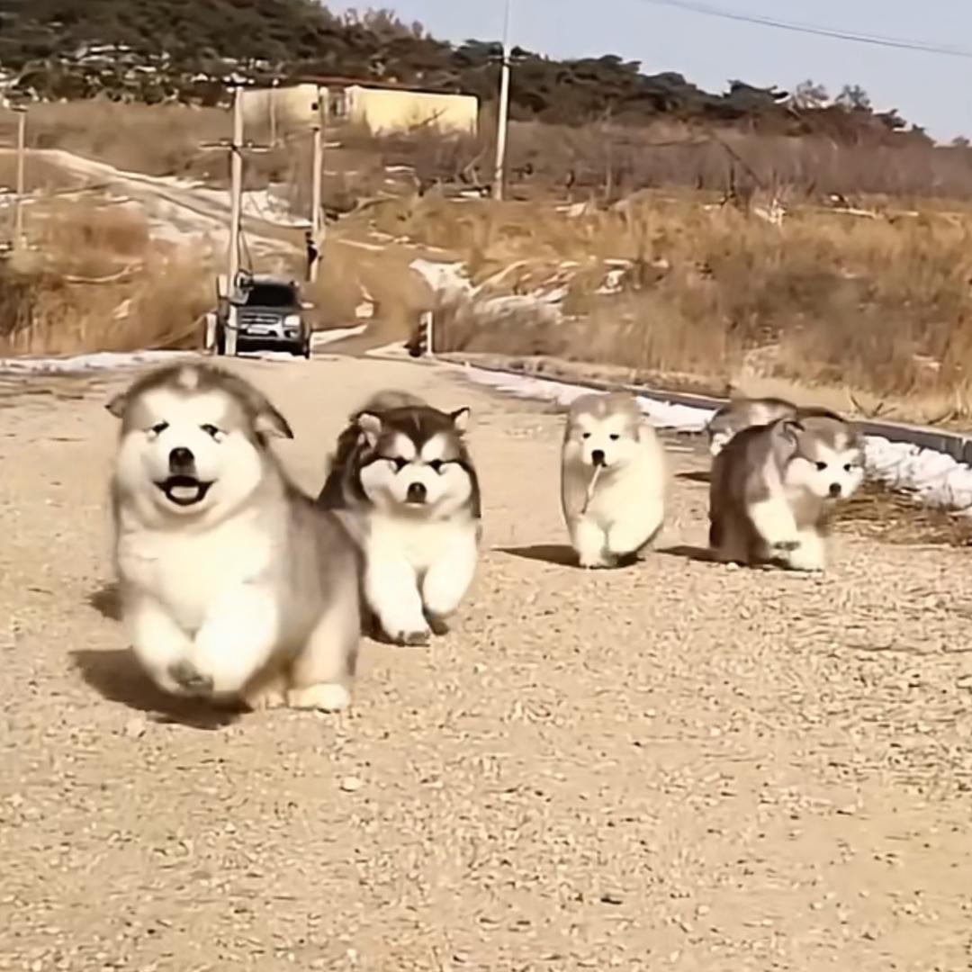 沐沐向善