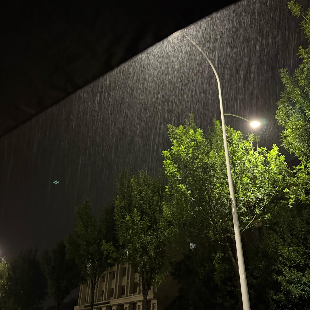小王说说说p