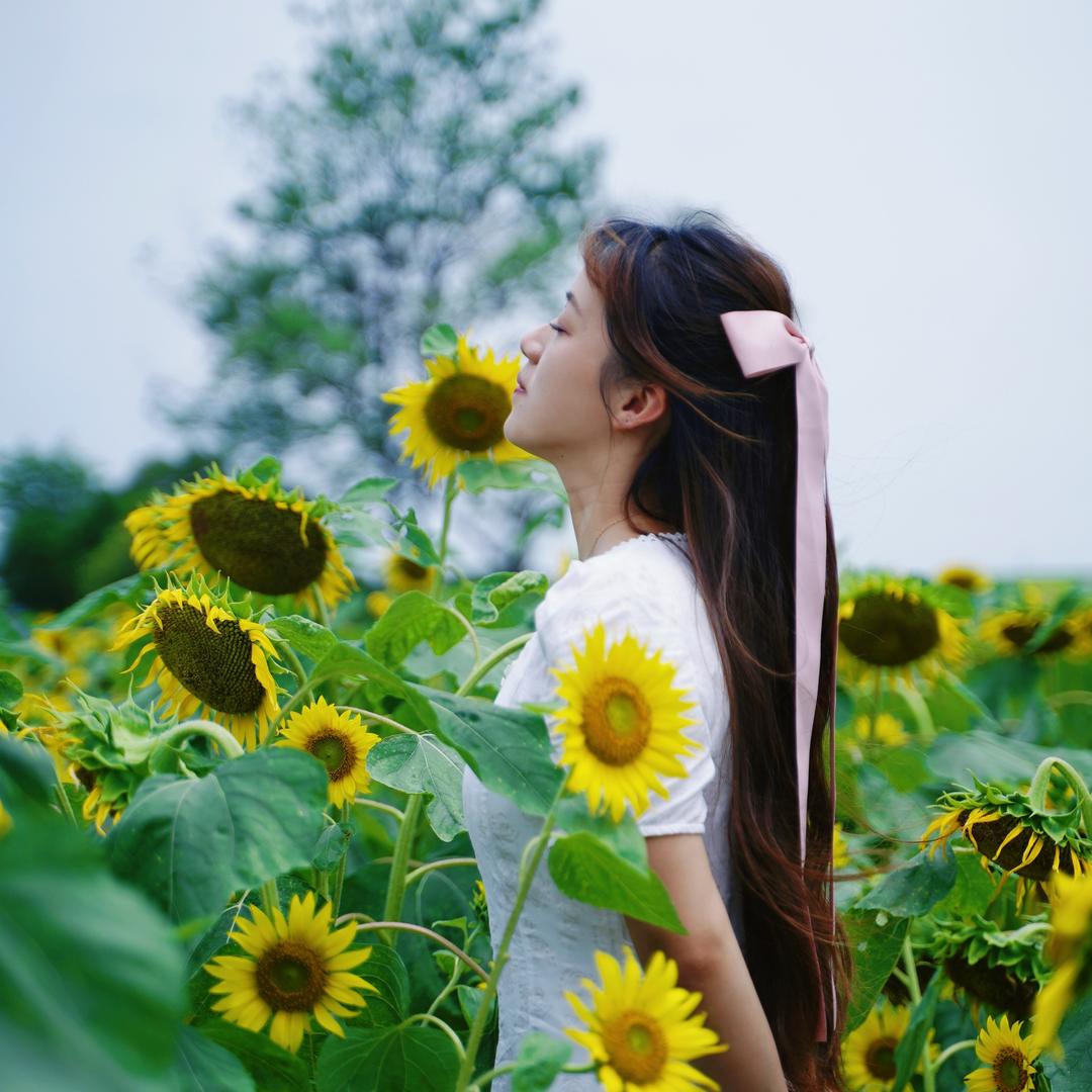 柠檬不Meᗜengᐝ 🍋～