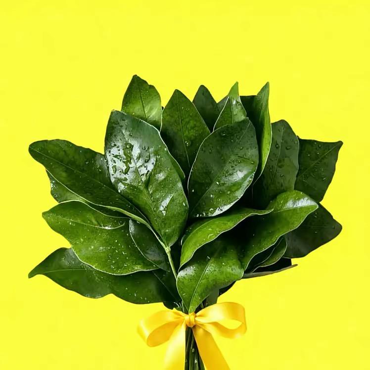 ᬐ听说糖💞很甜ᬐ