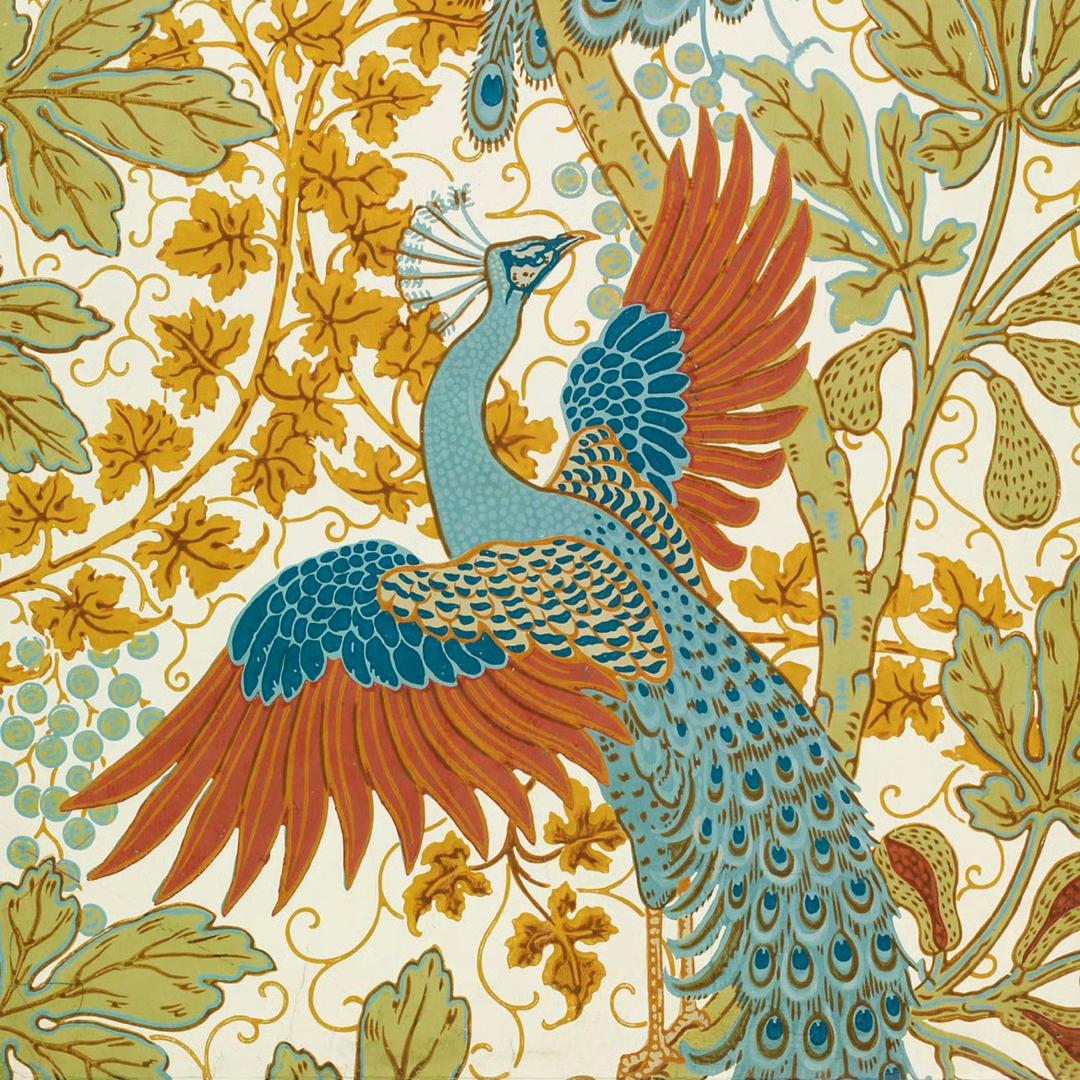 🌈大美新疆好粅分享