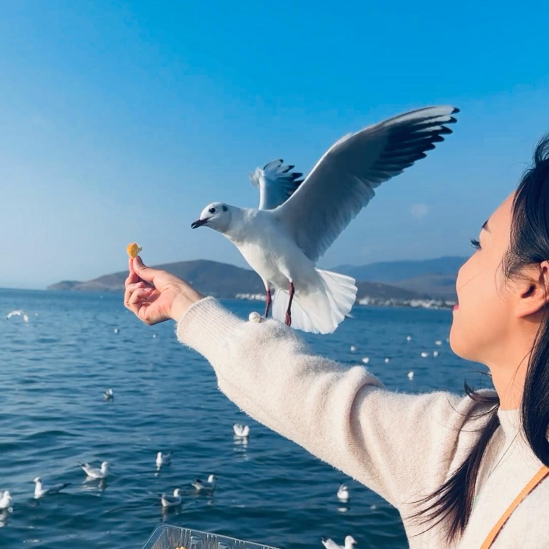 麦大仙🧚🏻‍♀️