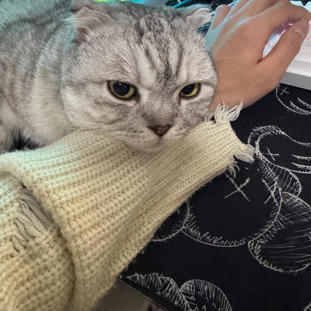 枯木.