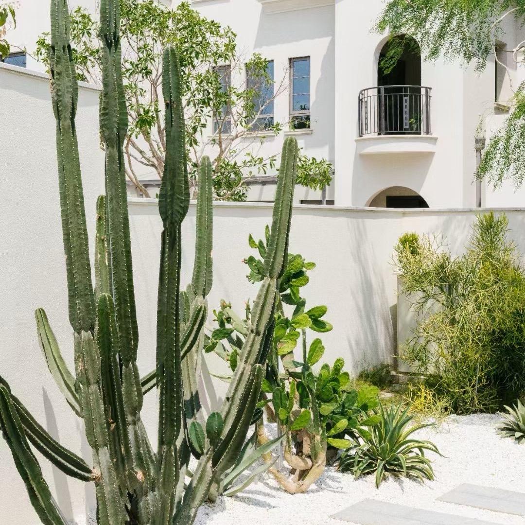 宏观庭院设计施工工作室