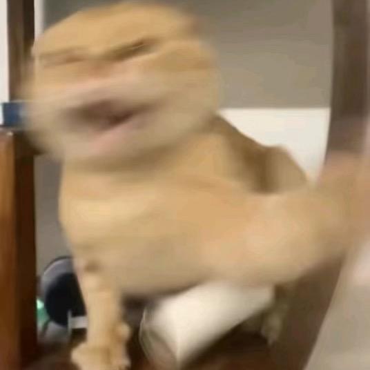 均值不等式