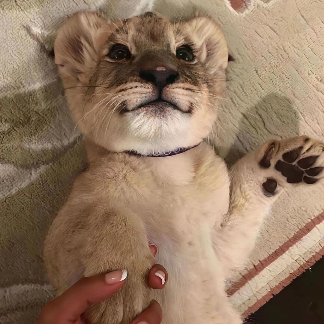 是个特
