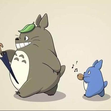 加菲与龙猫哟（三角洲行动\CODM）