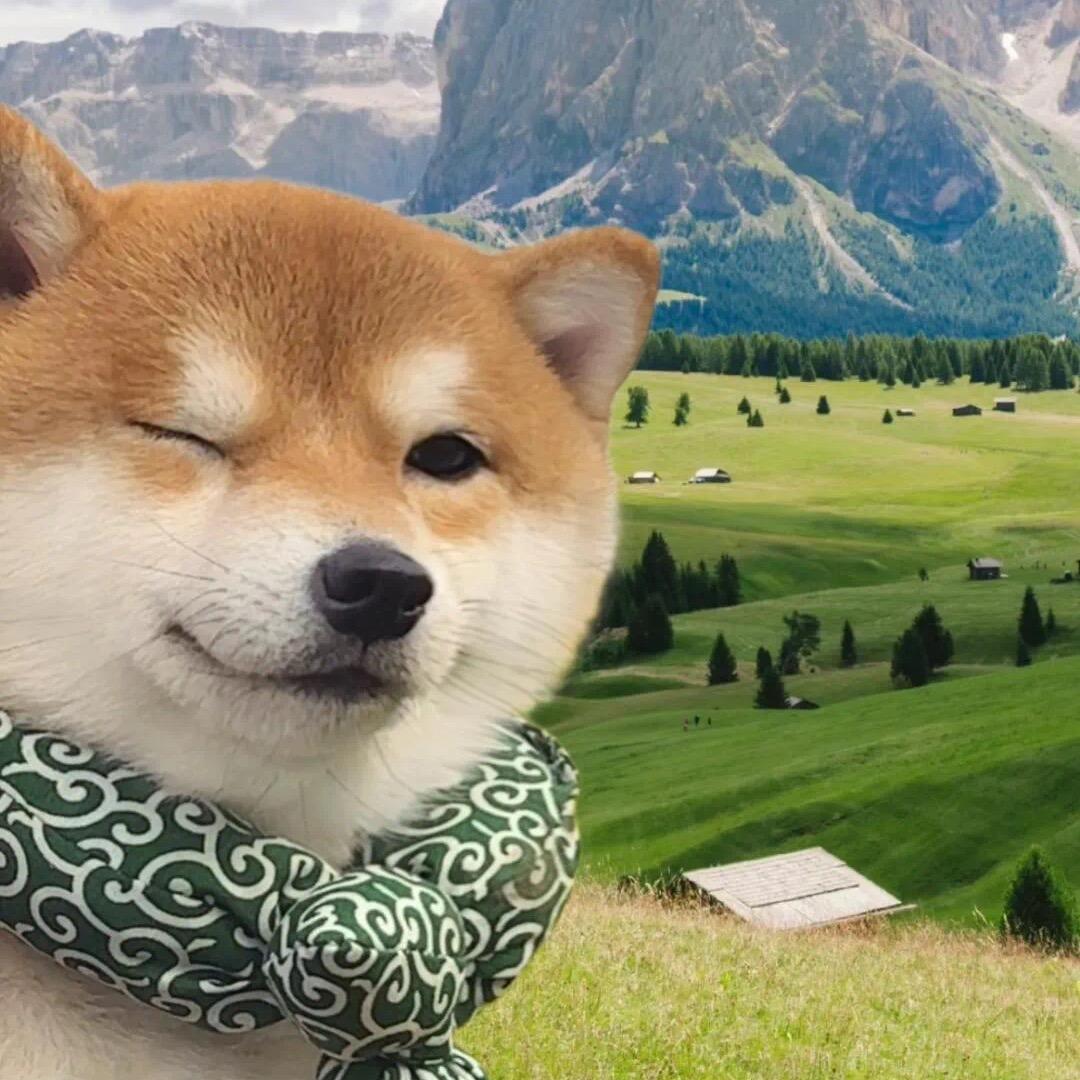 小怪兽👾