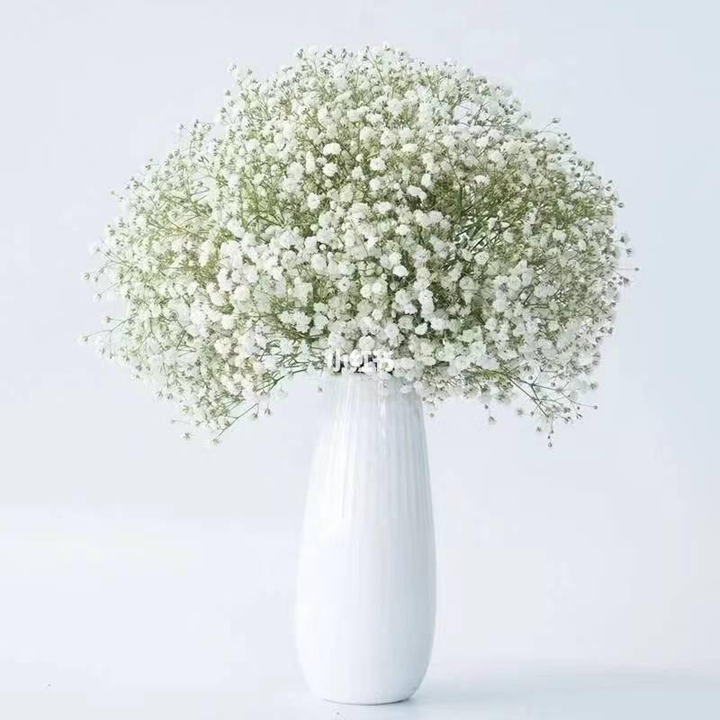 满天星花艺（夏邑家庭茂）