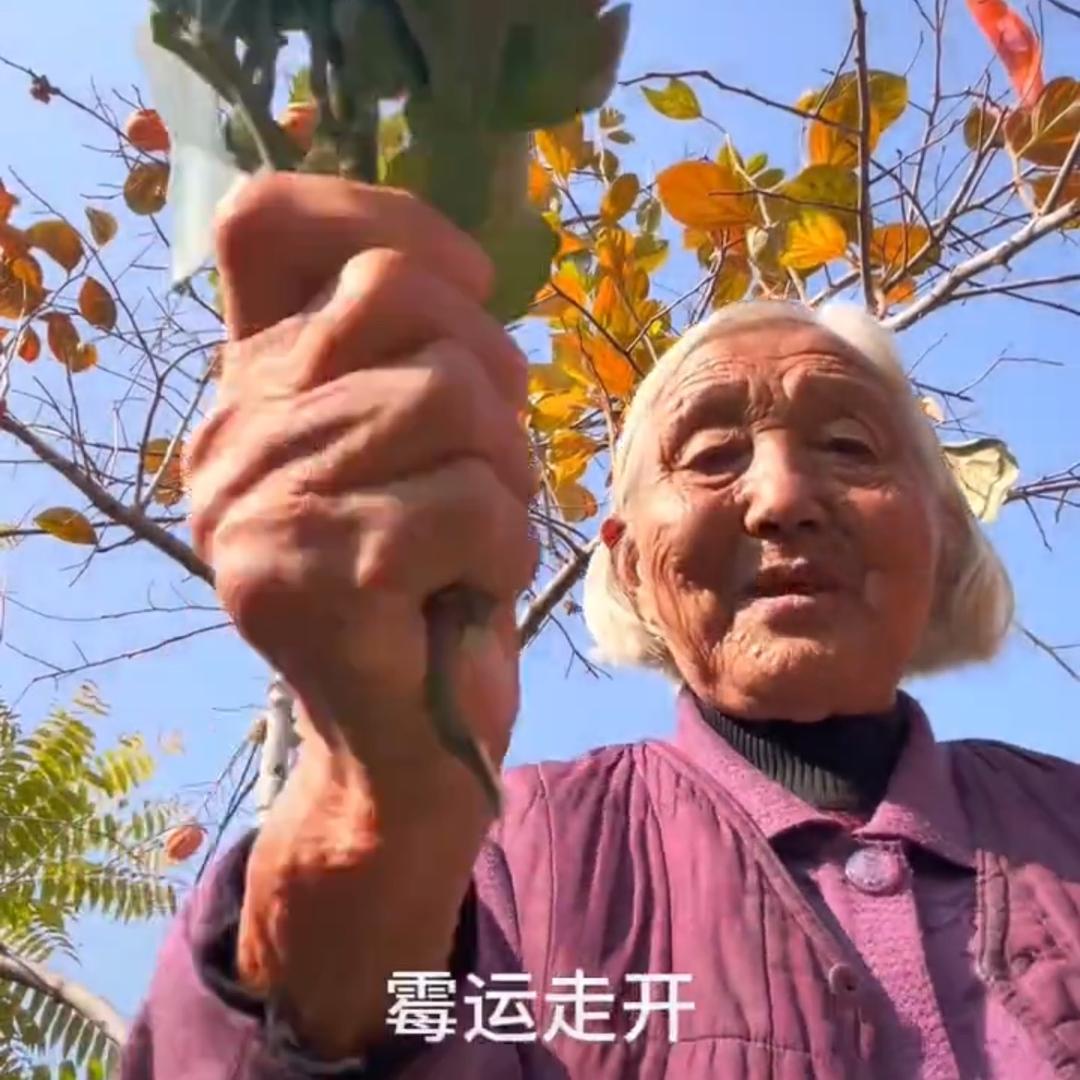 顾炎炎