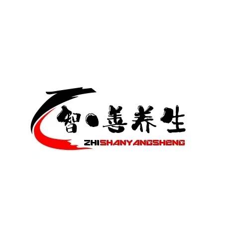 智.善养生 头疗