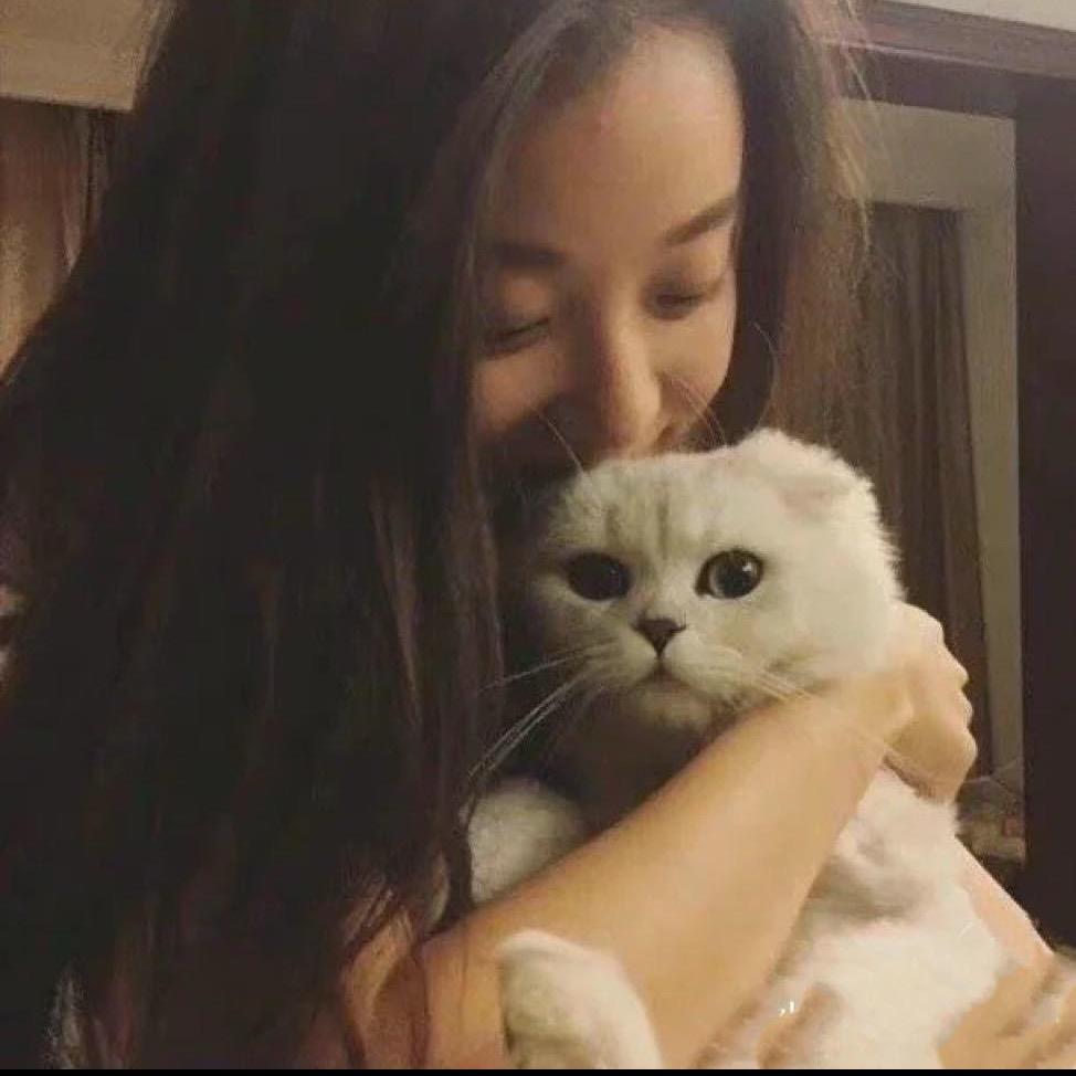 加冰