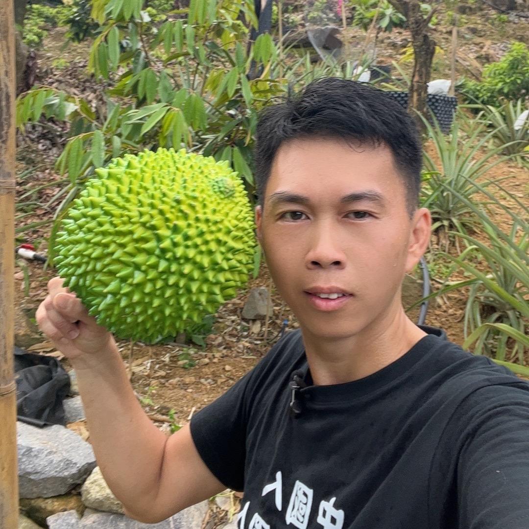 中山阿苇种植培苗场