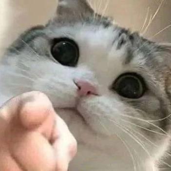 佳佳叉会腰