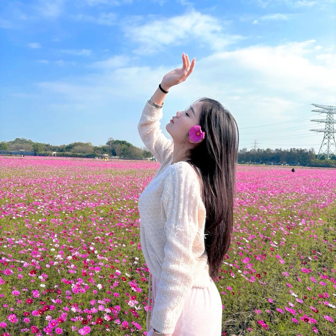 陈家3小姐