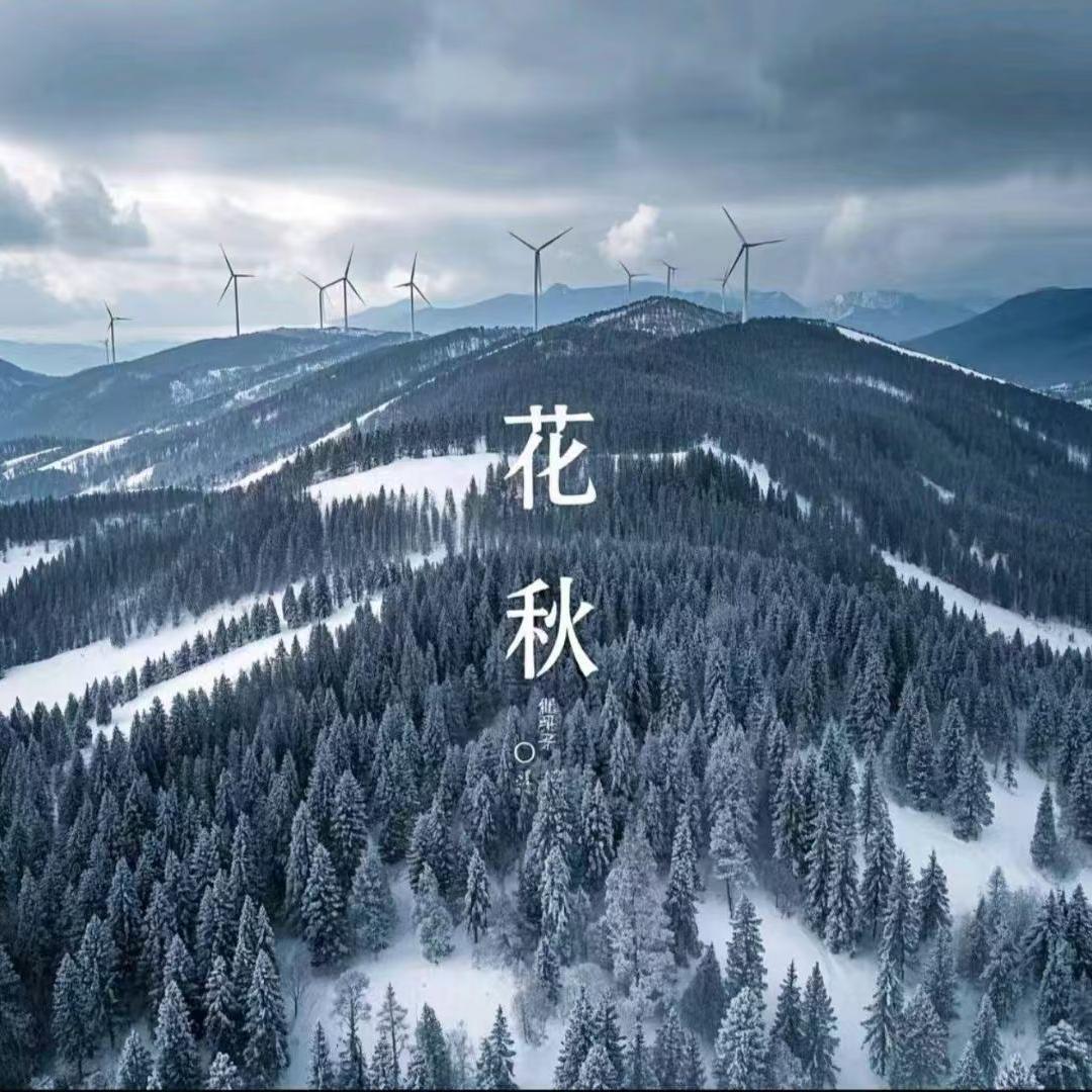 花秋黔妈回锅羊肉