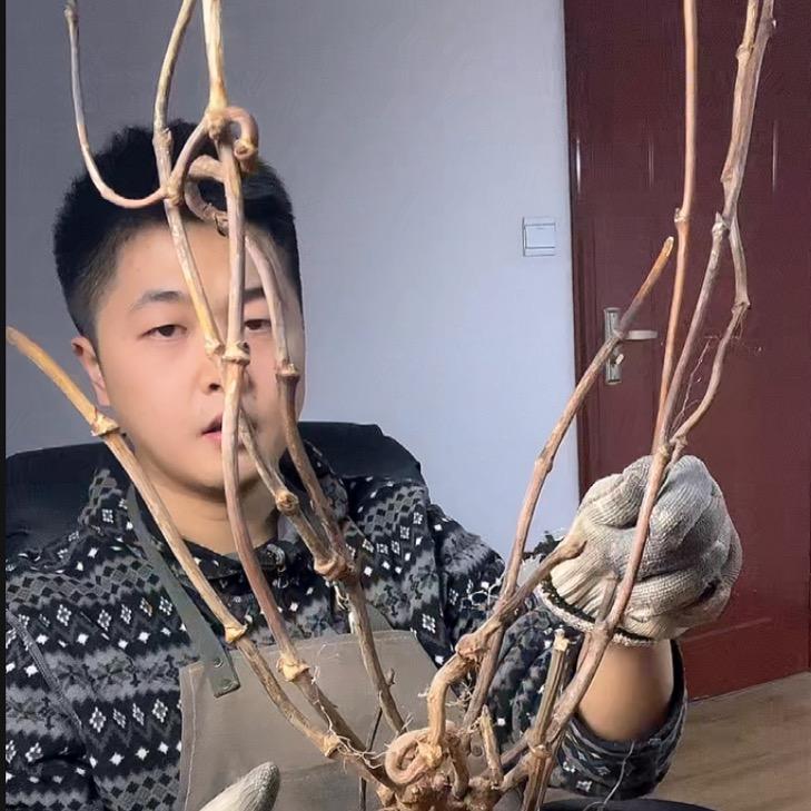 二马同学的店