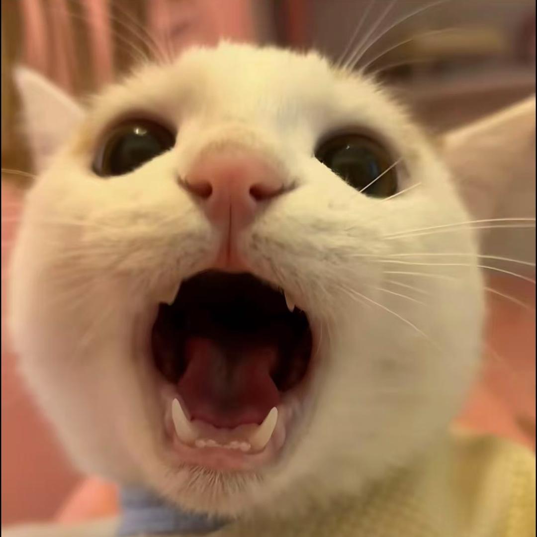 答案藏进海里