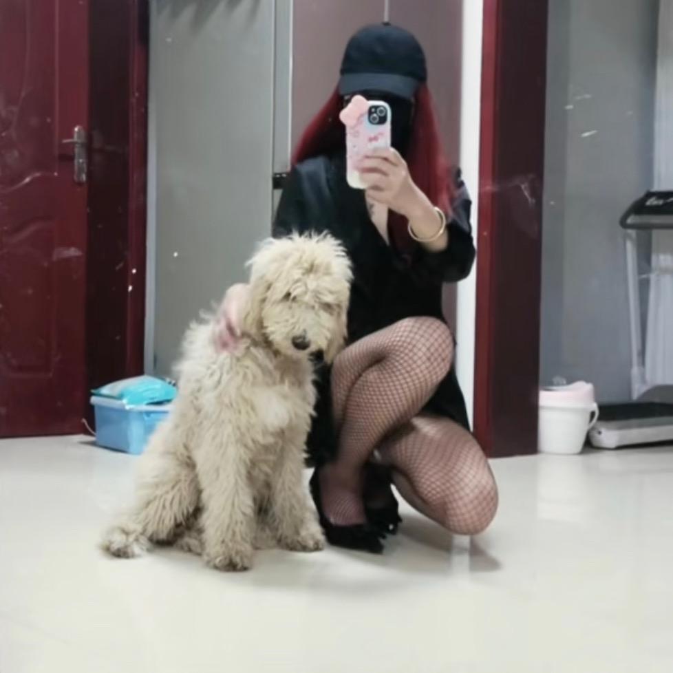 *       嚯嚯嚯嚯