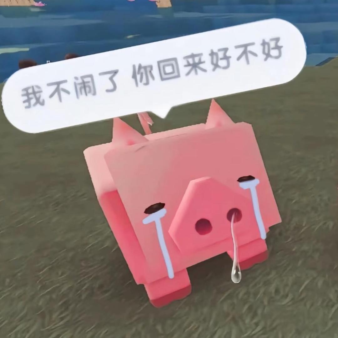 Sai优娜娜