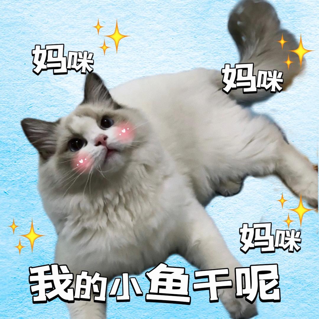 勇敢牛牛🐮