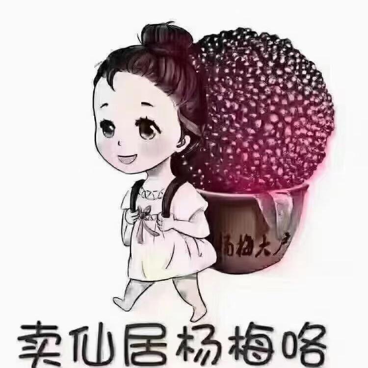 仙居杨梅建火家农场鲜果严选店