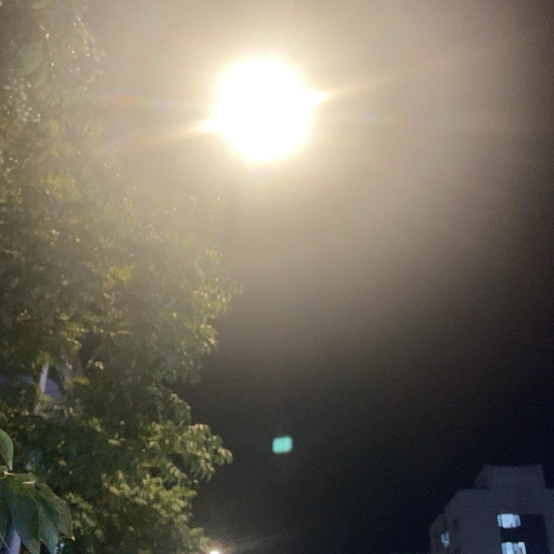 梦洁在浙飘💪