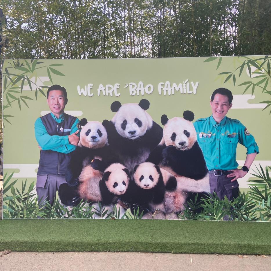 푸바오🐼