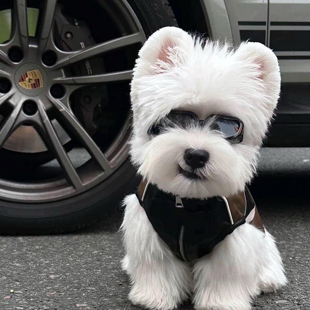 ㅤ       ㅤㅤㅤ