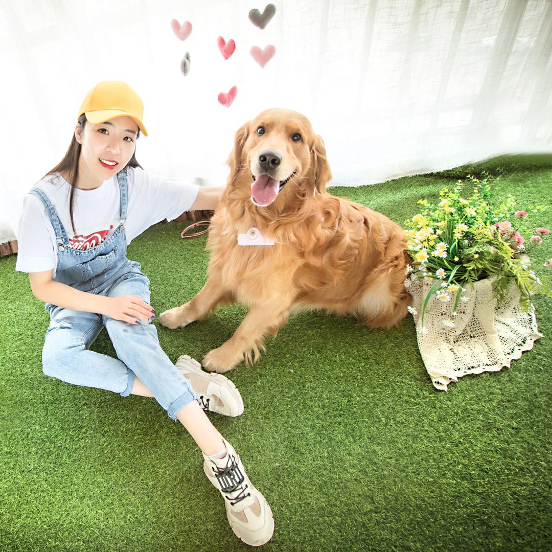 狗哥布丁的小弟