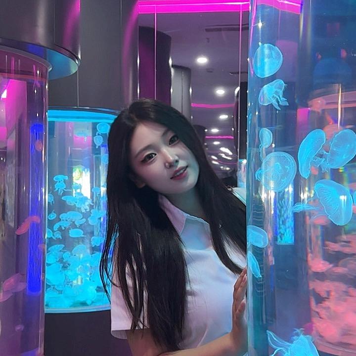 金槿衿