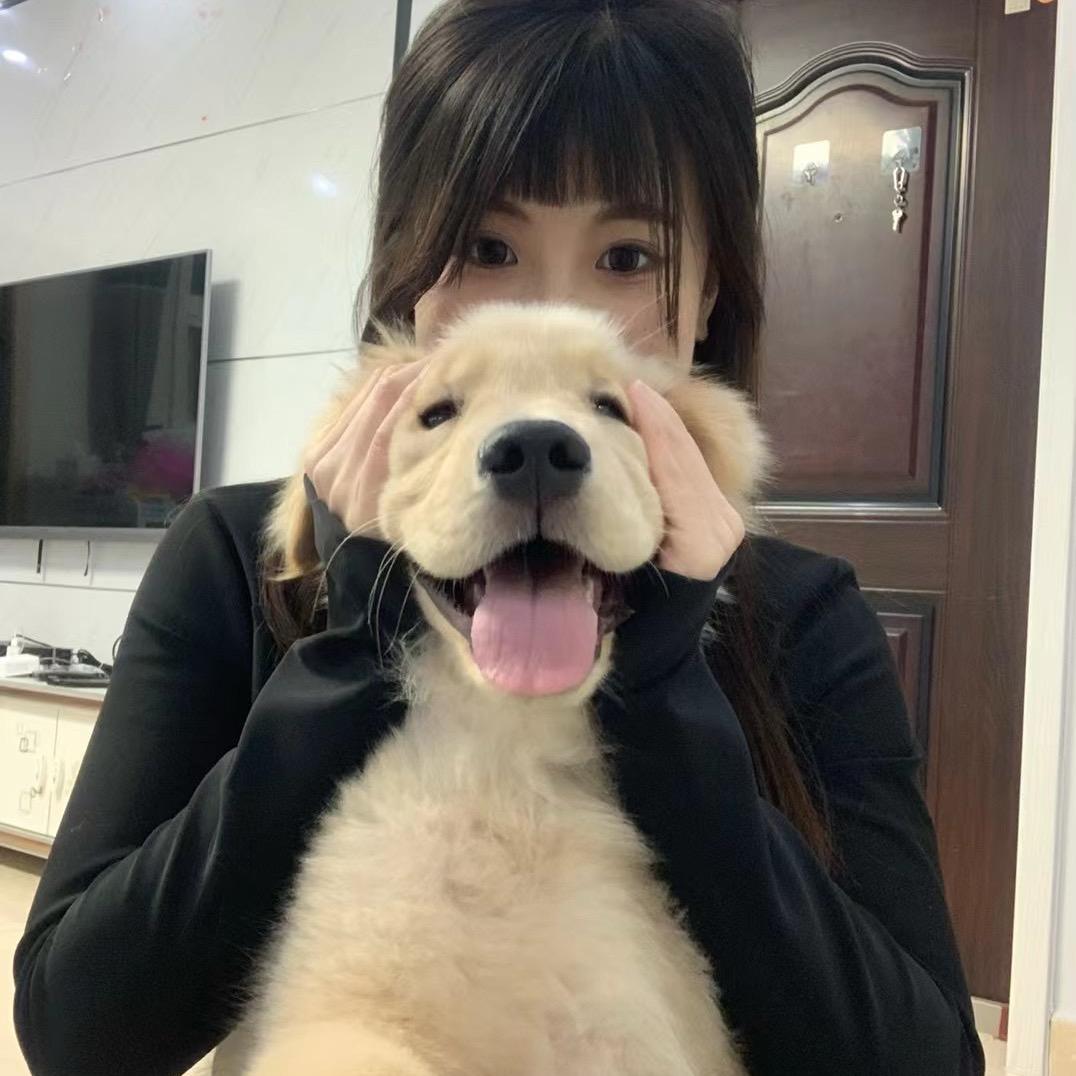 小太阳🐶