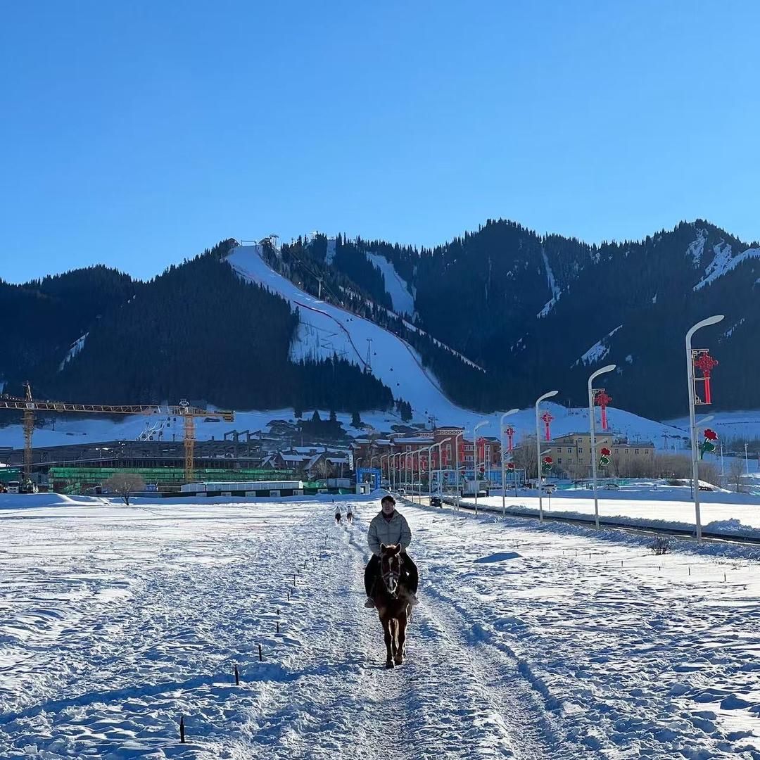 李老师说国际本科
