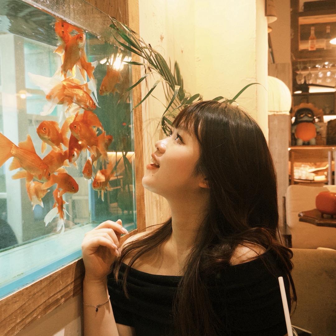 重庆开瑞新能源｜羊羊