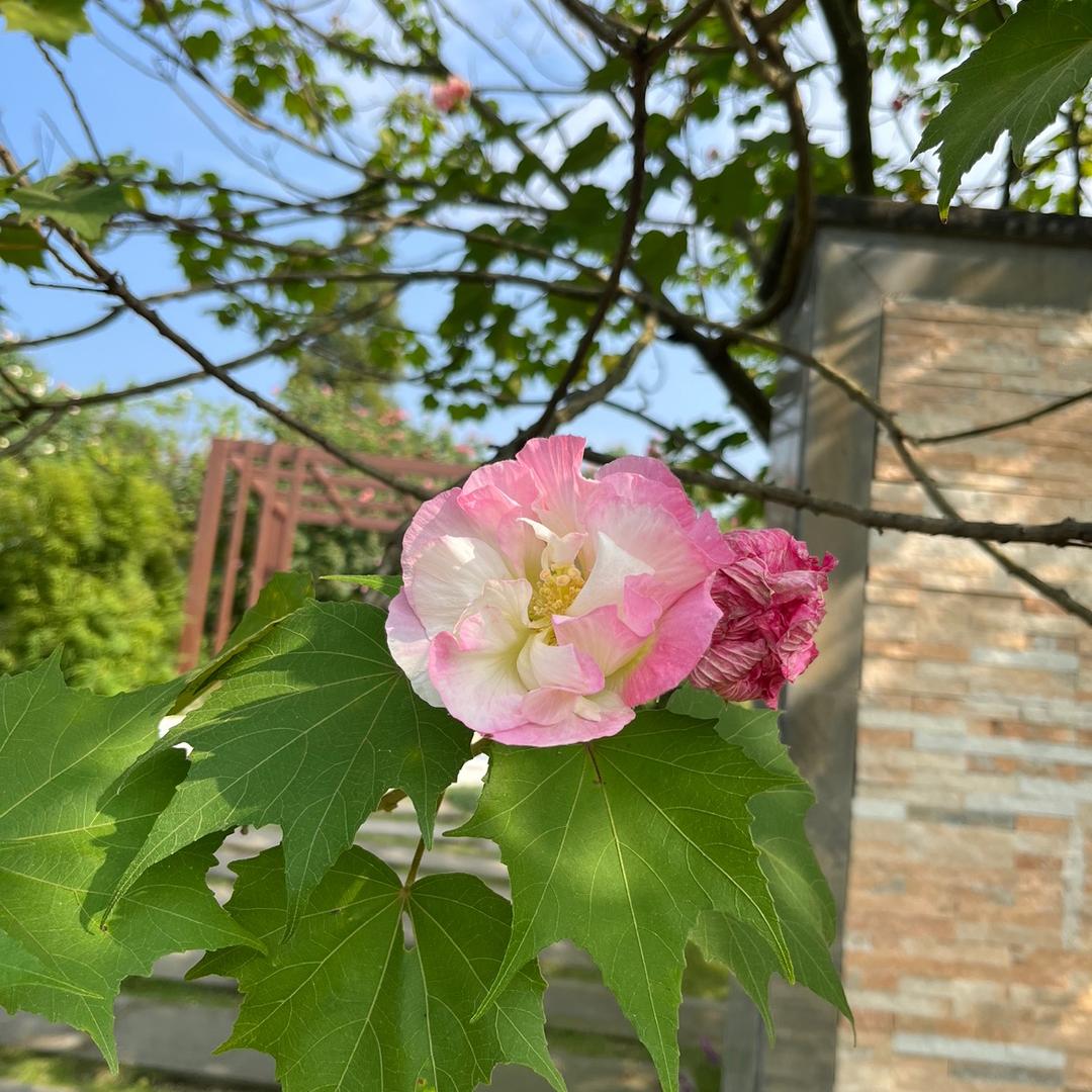 悦儿雨儿