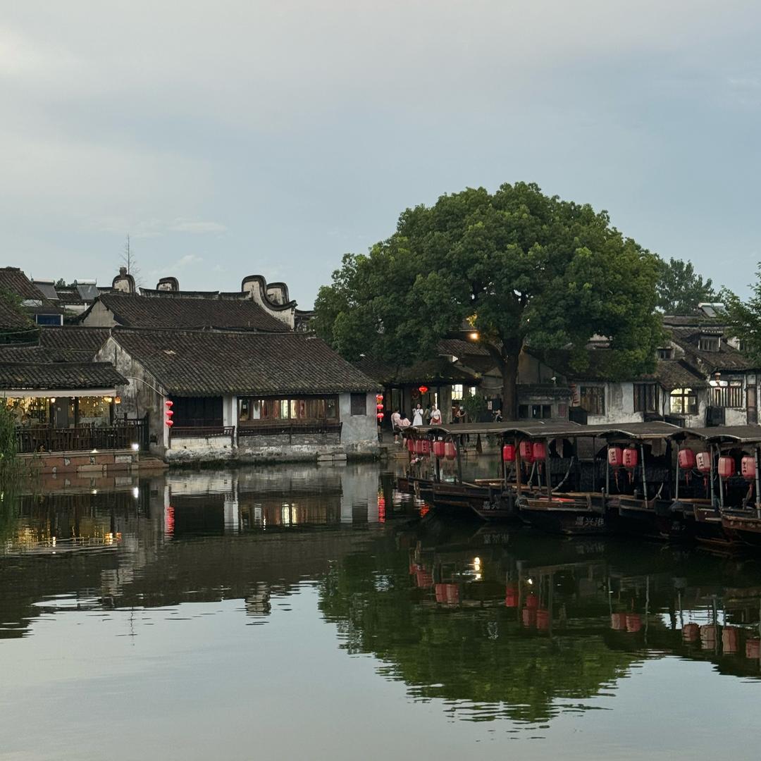 坦荡从容