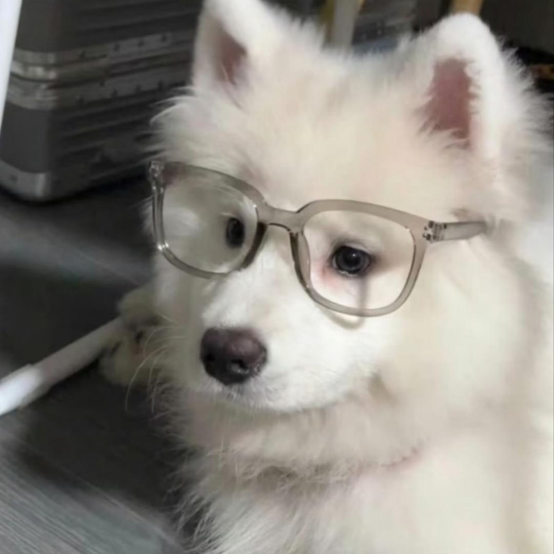 可恶的鸡胸肉（减脂中)