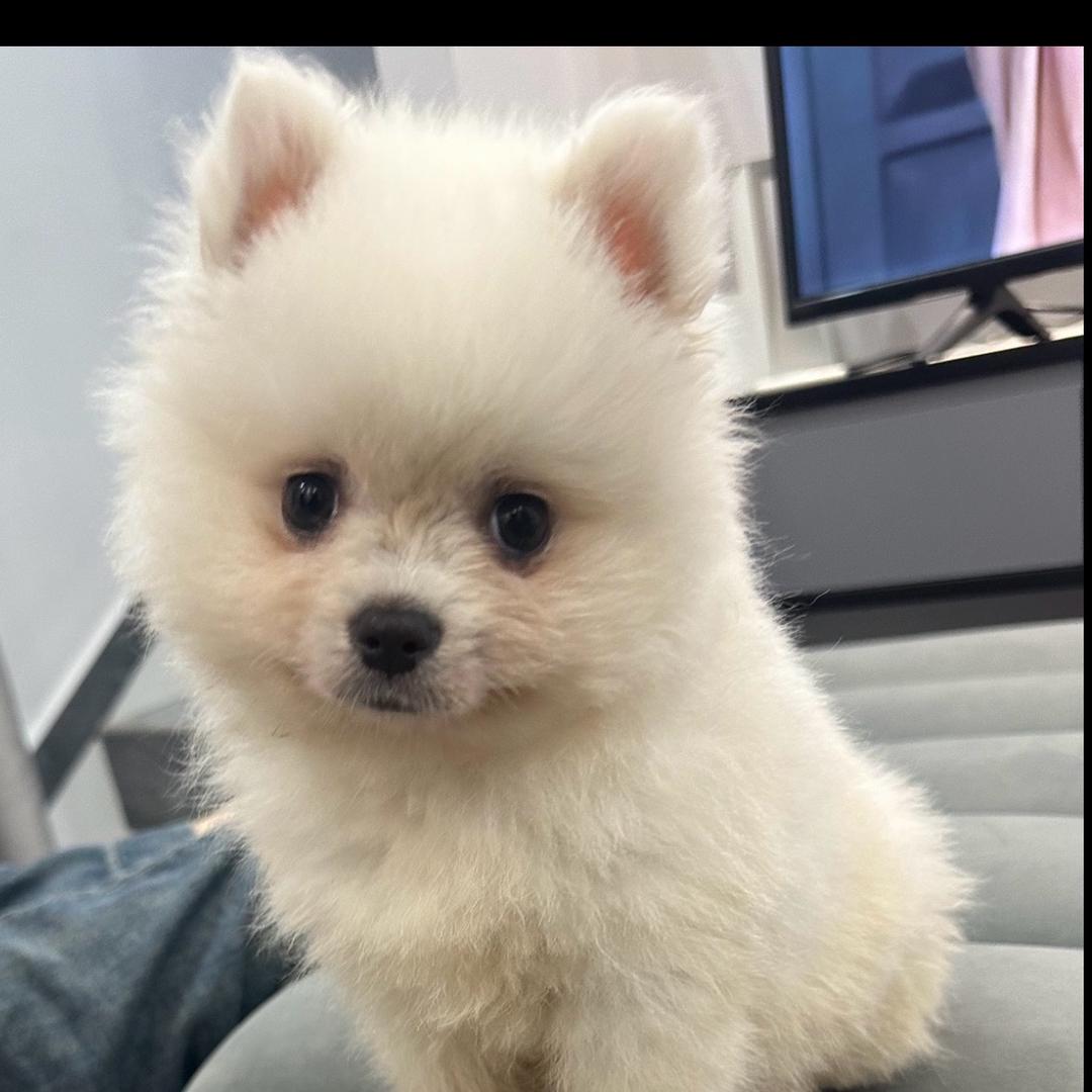 ^-^.