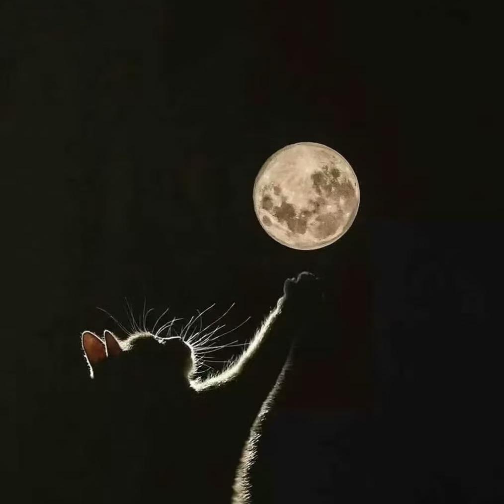 Moon~