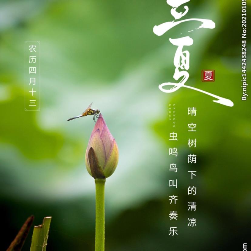 紫芯蕊蕊