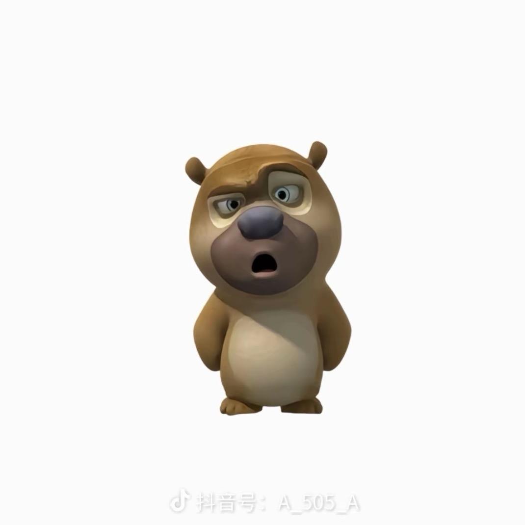 风风风风风