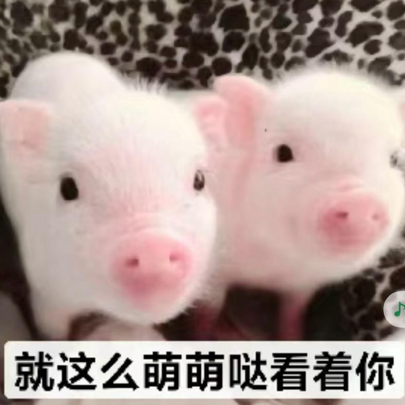 抱男神入睡